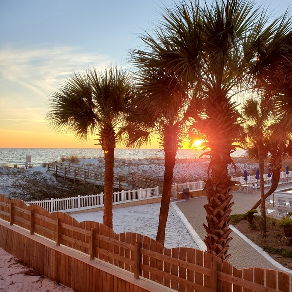 Meet your Posher, Brooke - Picture 1 of 1